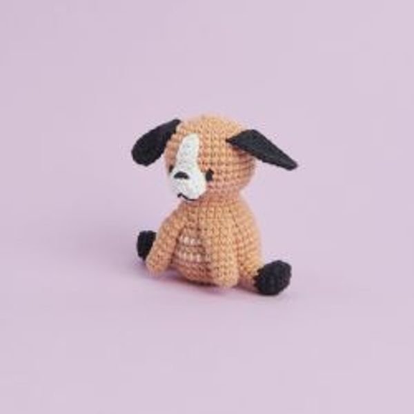 Hovedbilde Ricorumi mini heklepakke Hunden Trofast