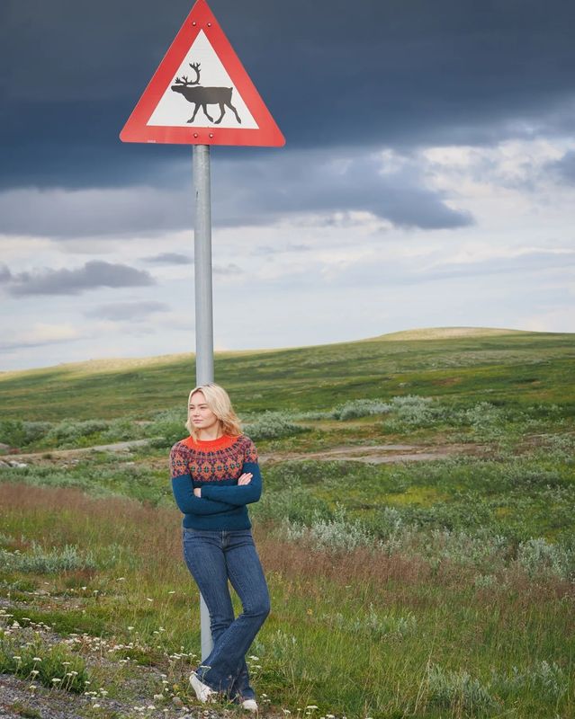 Sápmi strikk - en reise i garn og farger - Siv Romsdal